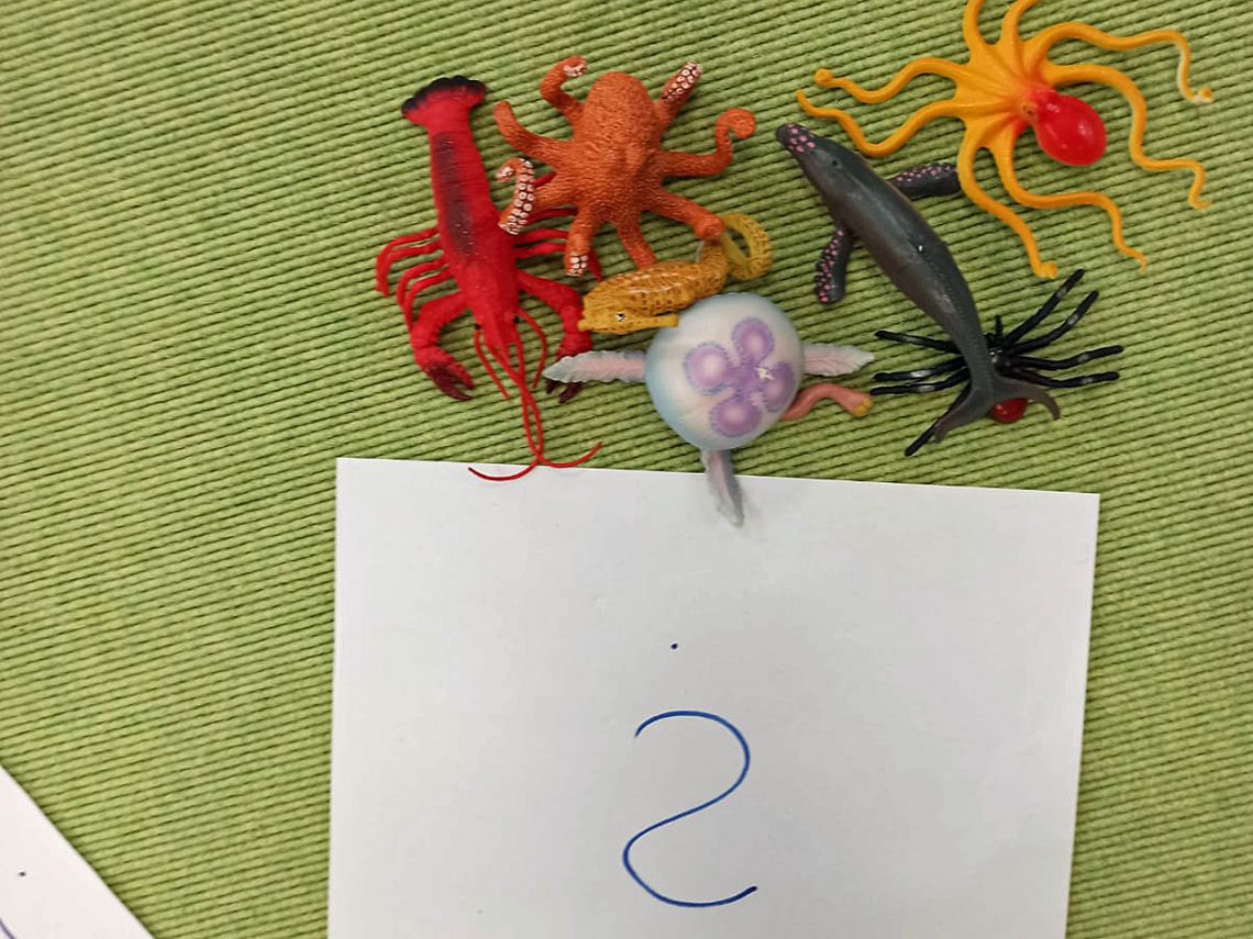 Tiere den richtigen Gruppen zuordnen - gar nicht so einfach!