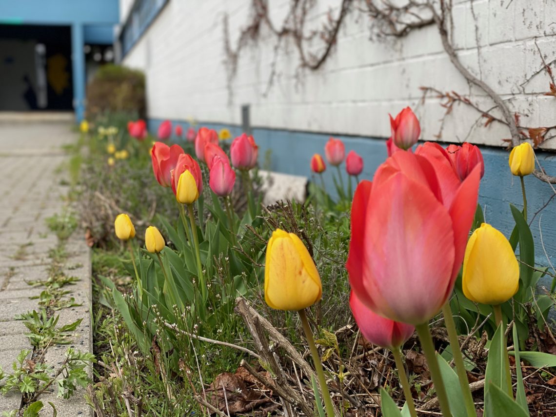 Weiße Wand von Haus 4