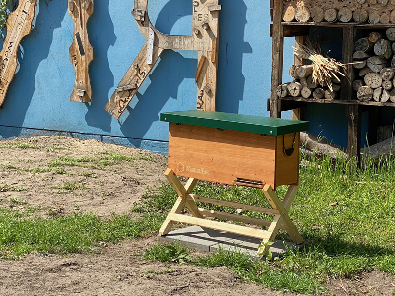 Bienenstock am Campus Hannah Höch