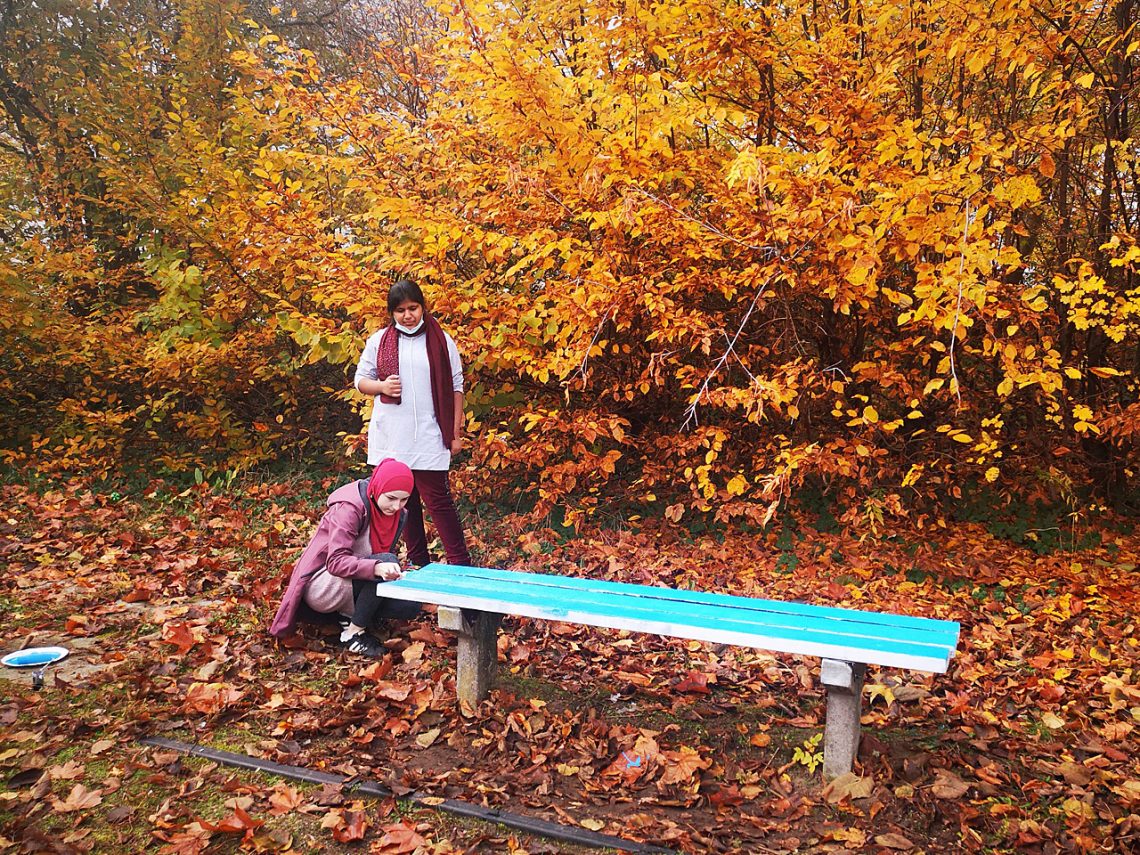 Campus Beauty Day am Campus Hannah Höch: Schülerinnen verschönern den Schulhof